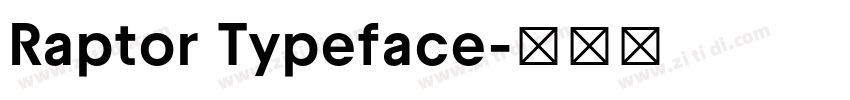 Raptor Typeface字体转换 Raptor Typeface字体转换